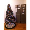 2024christmastree - Rastline - 