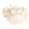 259637143 - 墨镜 - 