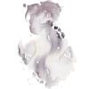 2596 - Cachecol - 