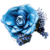 502596 - Other - 