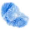 52153 - Sonnenbrillen - 