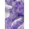 5367137 - Illustraciones - 