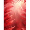 659351 - Иллюстрации - 