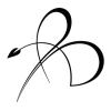 7431718 - Eyeglasses - 
