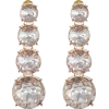ALDO JAVENA Earrings - Earrings - $12.00 