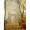 AUTUMN photo - Uncategorized - 