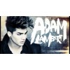 Adam Lambert - Moje fotografie - 
