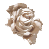 Rose Ruža - Plants - 