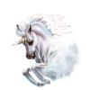 Unicorn Jednorog - Živali - 