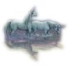 Unicorn Jednorog - 动物 - 