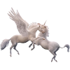Unicorn Jednorog - Životinje - 