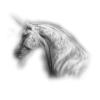 Unicorn Jednorog - Zwierzęta - 
