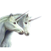 Unicorn Jednorog - 動物 - 