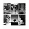 Aesthetic Images - Moje fotografije - 