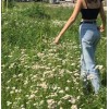 Aesthetic girl in flower field - Moje fotografie - 