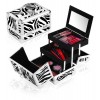 Shany Cosmetics Zebra Makeup Train Case with Mirror, 48 Ounce - コスメ - $25.00  ~ ¥2,814