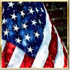 American Flag - Figure - 