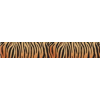 Animal Print - Textos - 