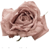 Antique rose - Items - 