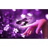 Purple fairy tale - Mie foto - 