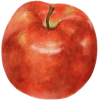 Apple - Frutta - 