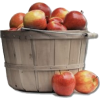 Apples - Frutta - 