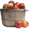 Apples - Sadje - 