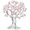Apple tree illustration - Rascunhos - 