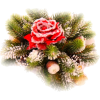 Flowers Red Plants - Rośliny - 