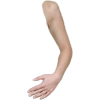 Arms - Figure - 