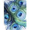 Art Peacock - Predmeti - 
