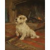 Arthur Wardle Sealyham terrier painting - Živali - 