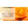 Autumn Colors - イラスト用文字 - 