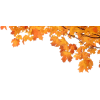 Autumn Leaves - Растения - 