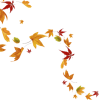 Autumn Leaves - Plantas - 