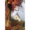 Autumn Pic - Uncategorized - 