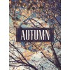 Autumn Pic - Uncategorized - 