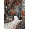 Autumn/Winter Pic - Uncategorized - 