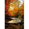 Autumn - Natur - 