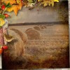 Autumn - Background - 