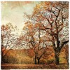 Autumn - Background - 