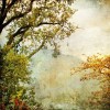 Autumn - Background - 