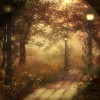 Autumn - Pozadine - 