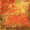 Autumn - Sfondo - 