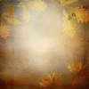 Autumn - Fundos - 