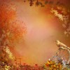 Autumn - Ozadje - 