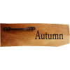 Autumn - 插图用文字 - 