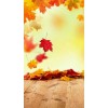Autumn background - Fundos - 