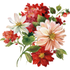 Autumn flowers - Rastline - 