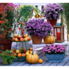 Autumn flowers - Plantas - 